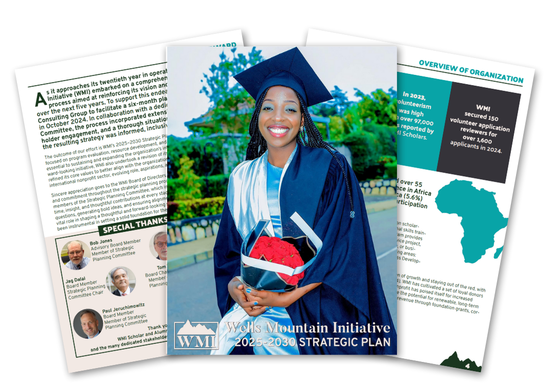 WMI Strategic Plan 2025–2030 cover