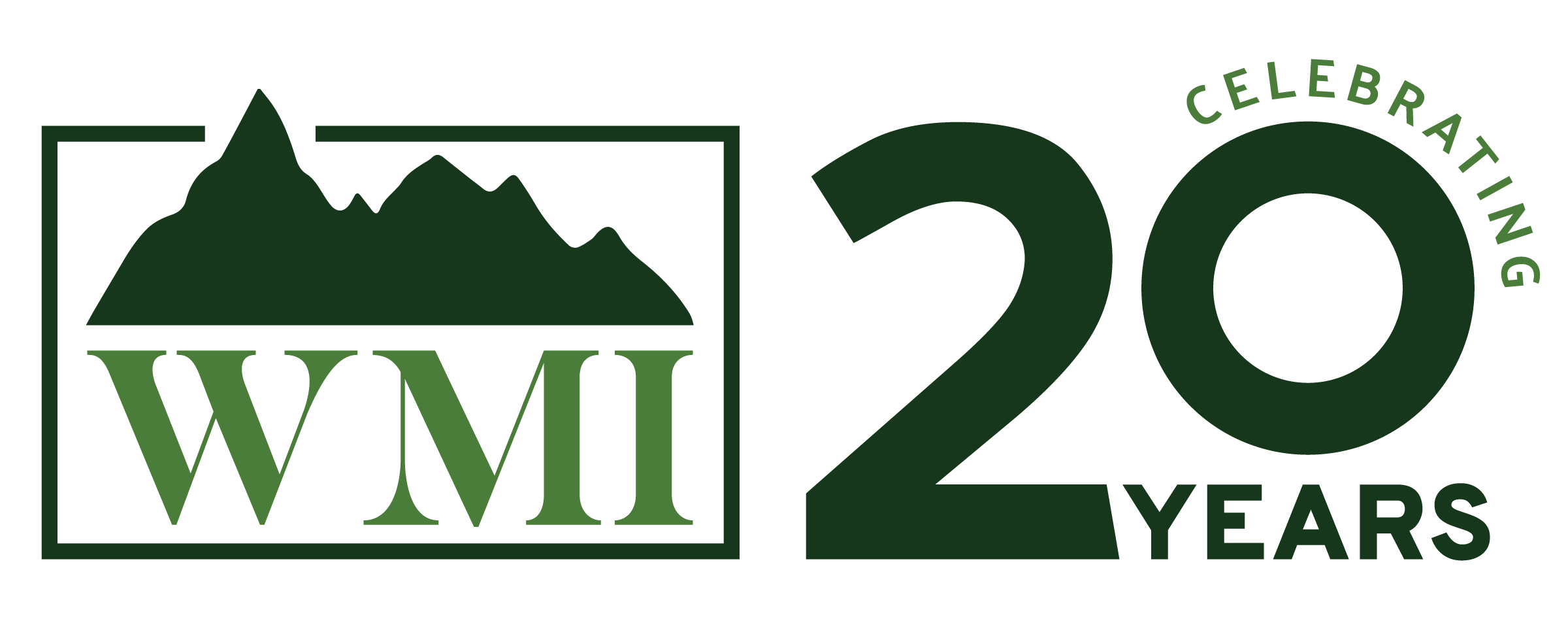 WMI 20th Anniversary Logo